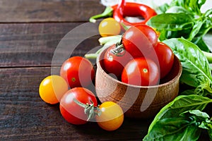 Red and yellow cherry tomatoes among the basil leaves on a dark wooden background