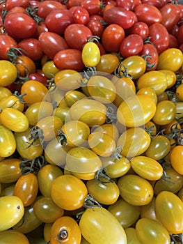 Red and yellow cherry tomatoes. It is food for people who love health.