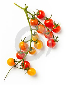 Red and yellow cherry tomatoes on a twig