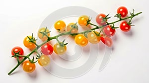 Red and yellow cherry tomatoes on a twig