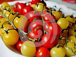 Red and yellow cherry tomatoes on on vines