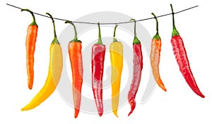 Red yellow chilli peppers isolated on white