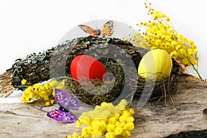 Red and yellow egg for Easter in the nests