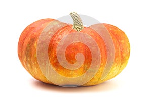 A Red and Yellow Fairytale Pumpkin on a White Background