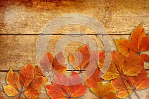 Red and yellow fall autumn leaves with wooden background vintage style and copy space