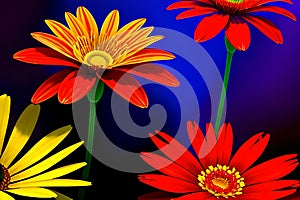 Red Yellow Flower Expressionist Digital Painting