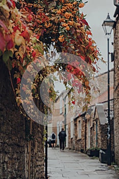 Red and yellow foliage on a street in Frome, UK, unidentified people on the background