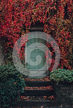 Red and yellow foliage on a  traditional English house in Frome, Somerset, UK