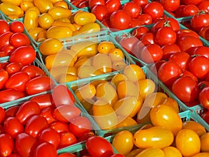 Red and yellow grape tomatoes