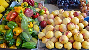 Red, yellow and green capsicums and nectarines