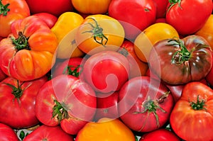 Red and Yellow Heirloom Tomatoes