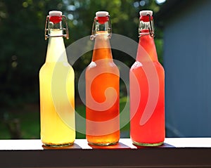 Red and Yellow Home Brewed Fermented Kombucha