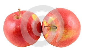 Red-yellow Jonathan apples, isolated