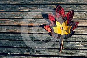 Red and yellow maple leaves on a wooden bench
