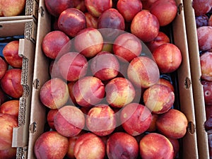 Red and yellow Nectar fruit in boxes