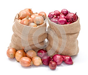 Red and yellow onions in burlap sack