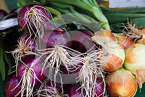 Red and yellow onions for sale in farmers market