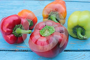 Red, yellow and orange bell peppers on light blue wooden background. Fresh summer or autumn vegetables harvest