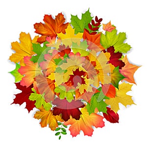 Red, yellow, orange, green autumn leaf background