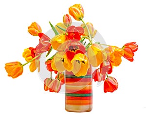 Red, yellow and orange tulips flowers in colored rustic vase, floral arrangement, close up, isolated, white background photo