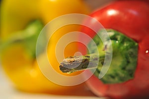 Red and Yellow paper Close-up photography