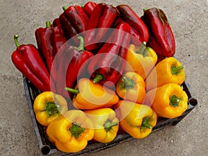 Red and yellow peppers