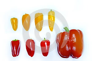 Red and yellow peppers in a row