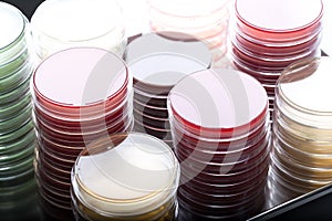 Red and yellow petri dishes stacks in microbiology lab on the bacteriology laboratory background. photo