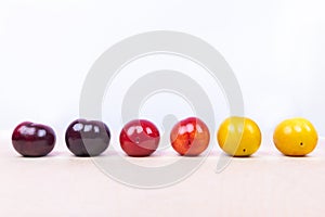 Red, yellow plum fruit close up