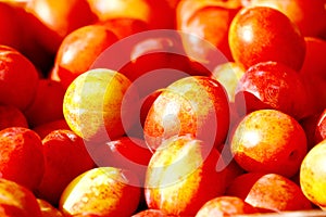 Red and yellow plums in market. natural background