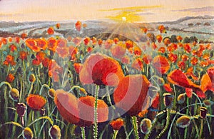 red yellow Poppy Flower field watercolor illustration painting botanical art