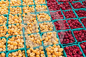 Red and yellow raspberries in boxes