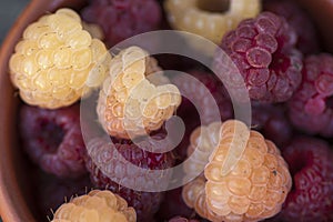 Red and yellow raspberries in a cup