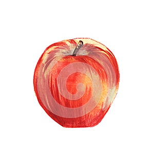Red-yellow ripe apple.Hand drawn watercolor illustration