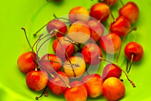 Red and yellow ripe cherries in a green plate