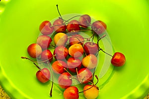 Red and yellow ripe cherries in a green plate