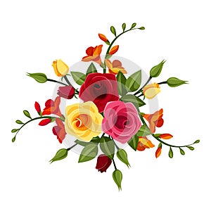 Red and yellow roses and freesia flowers. Vector illustration.