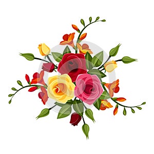 Red and yellow roses and freesia flowers. Vector illustration. photo