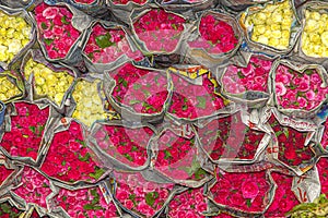 Red and yellow roses packed in newspaper at the flower market Pak Khlong Talat in CHinatown of Bangkok