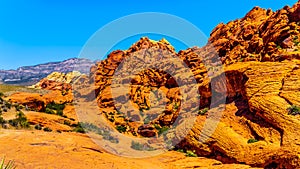 The Red and Yellow Sandstone Cliffs in Red Rock Canyon National Conservation Area near Las Vegas, NV, USA