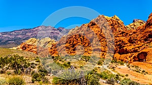 The Red and Yellow Sandstone Cliffs in Red Rock Canyon National Conservation Area near Las Vegas, NV, USA