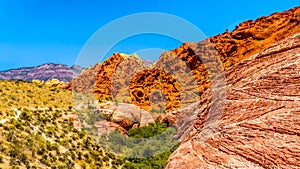 The Red and Yellow Sandstone Cliffs in Red Rock Canyon National Conservation Area near Las Vegas, NV, USA