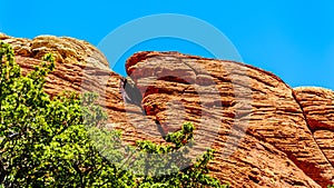 The Red and Yellow Sandstone Cliffs in Red Rock Canyon National Conservation Area near Las Vegas, NV, USA