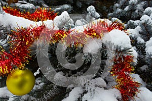 red and yellow tinsel is located on a snow-covered spruce branch, and a yellow Christmas tree toy hangs under it