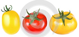 Red and yellow tomatoes, isolate on a white background close-up