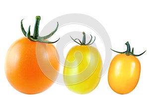 Red and yellow tomatoes, isolate on a white background close-up