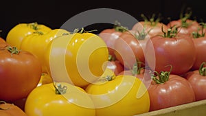 Red and yellow tomatoes lying on shelf in grocery. Camera moving along assortment of healthful fresh vegetables in