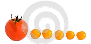 Red and yellow totatoes