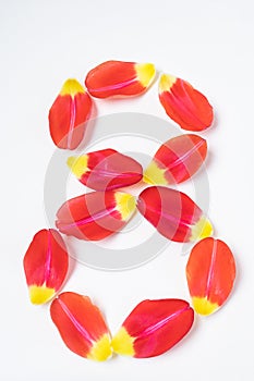 Red-yellow tulip petals in the form of number 8 on a light background.