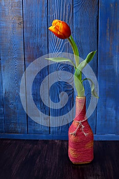 Red and yellow tulip in a pink bottle
